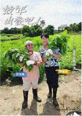 咖啡凉了再加糖小说封面